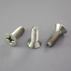 Flat Head (Phillips) Trilobular Screw